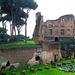 IT - Rome - Palatine Hill