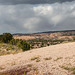 A New Mexico landscape8