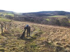 Ancient stepping stones on the Speyside Way