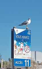 Je surveille...