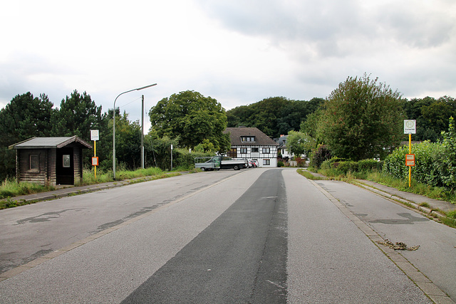 Stöckerstraße (Hattingen-Niederheide) / 20.08.2017