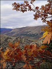 Autumn in the Sierra