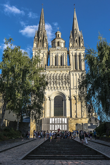 Cathédrale Saint-Maurice d'Angers