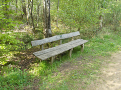 mrw - memorial bench