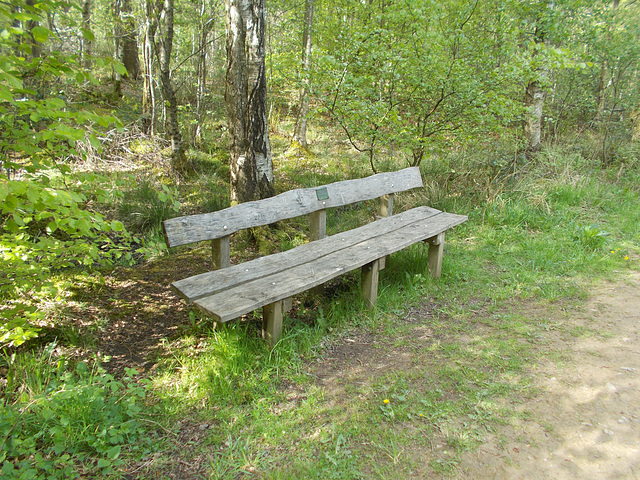 mrw - memorial bench