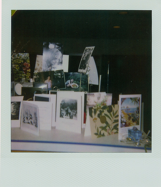 2009 February 17 - display, polaroid