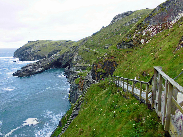 Der Zaun bei Tintagel