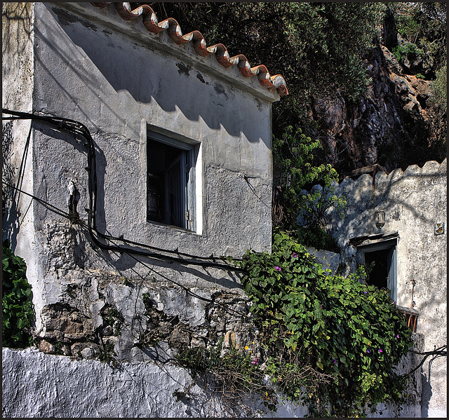 Casares