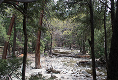 Yosemite Valley - Yosemite Falls  (#0571)