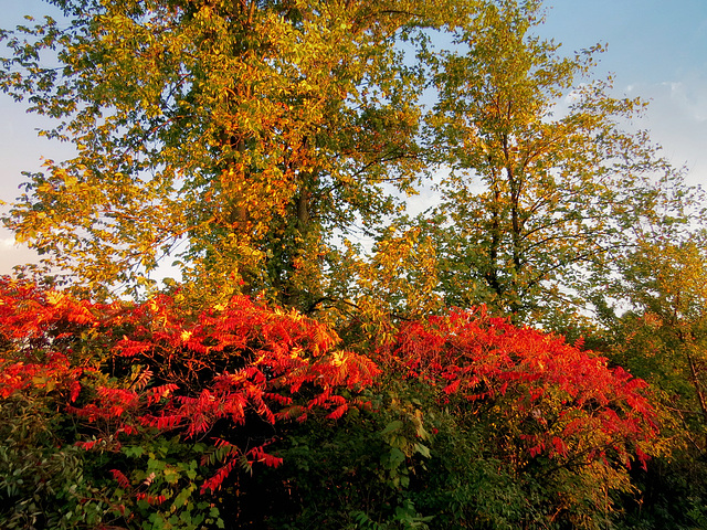 October in Michigan