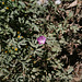 IMG 6895