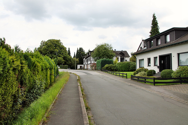 Große Kuhstraße (Hattingen-Niederheide) / 20.08.2017