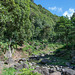 unterwegs zum Salto do Cagarrão (© Buelipix)