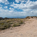 A New Mexico landscape10