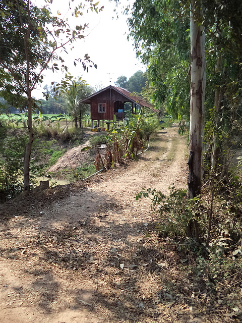 Maison et sentier / Pretty house along a quiet path