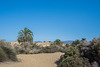 Las Dunas de Maspalomas (© Buelipix)