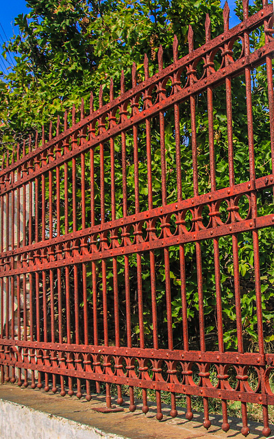 A Fence for Friday