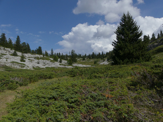 20190826 -0908 Diois (543)