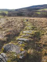 Ancient stepping stones on the Speyside Way