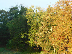 Parc en automne***********