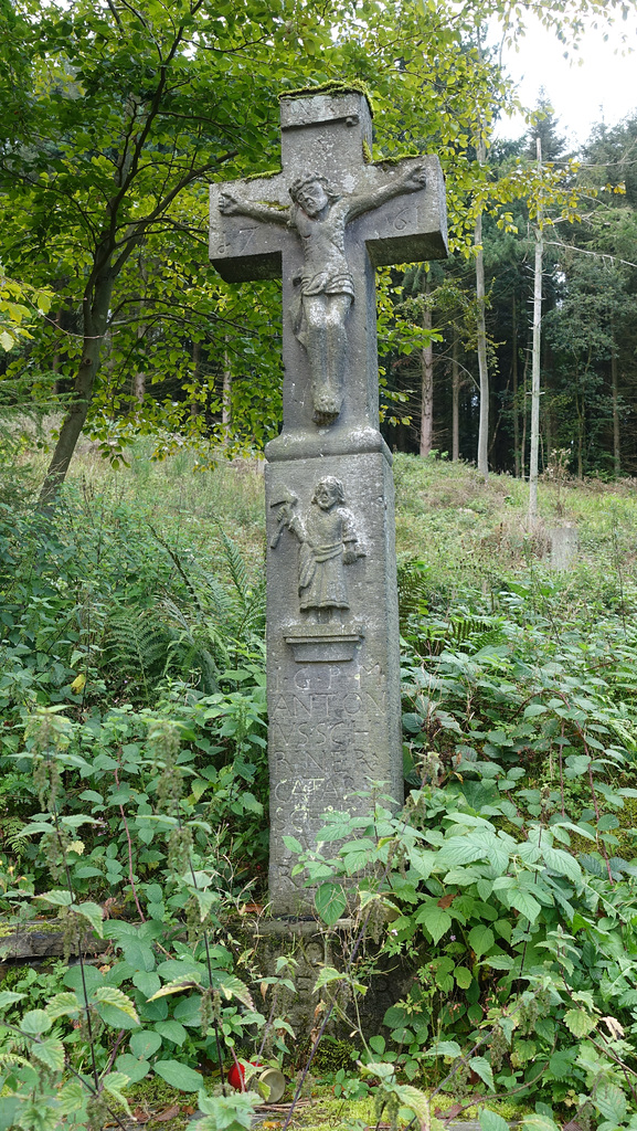 Kesseling-Saffenburg-Steinerberg 049