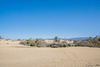 Las Dunas de Maspalomas (© Buelipix)