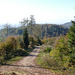 Herbstlicher Schwarzwald