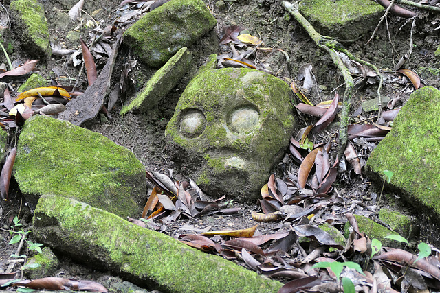 Abandoned head