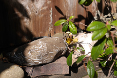 Stone Bud Fence