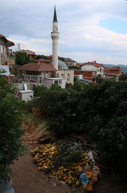 Mosque and pumpkins