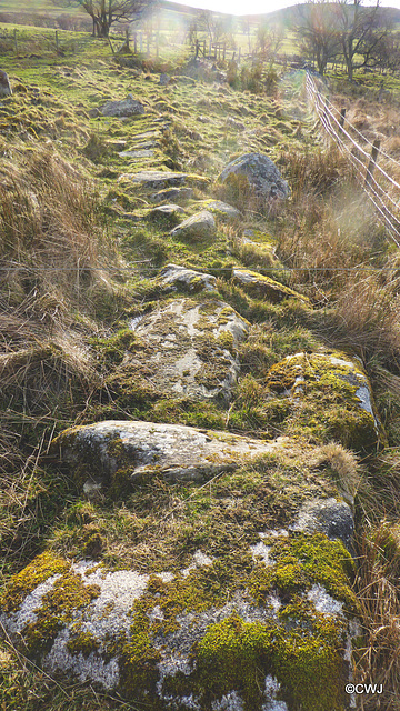 Ancient stepping stones on the Speyside Way