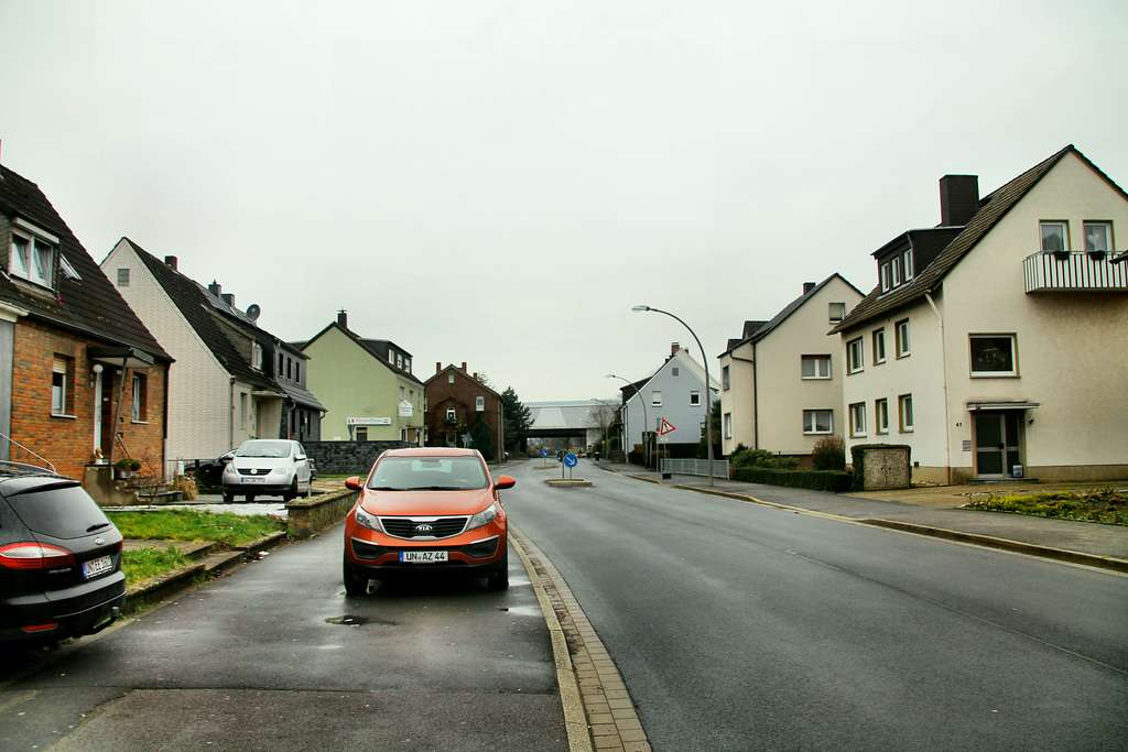 Bergkamener Straße (Kamen) / 5.01.2020