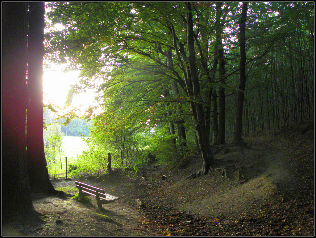 (Hbm) Imstenraderbos