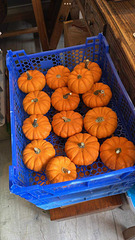 Préparatif pour un mariage Préparatif pour un mariage