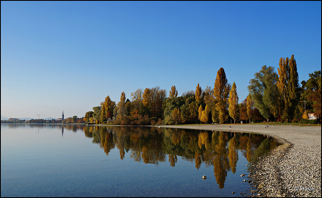 Herbstspaziergang im Radolfzeller Strandbad