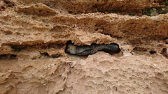 Dicker Brocken aus Vulkangestein im fossilen Strandsand(stein)