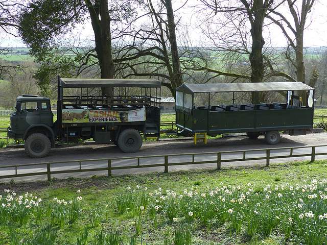 Port Lympne (16) - 17 March 2017