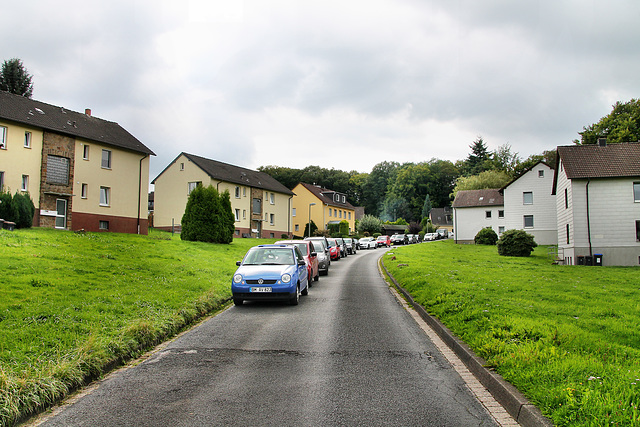 Am Werth, südlichste Zechenkolonie des Ruhrgebiets (Hattingen-Niederheide) / 20.08.2017