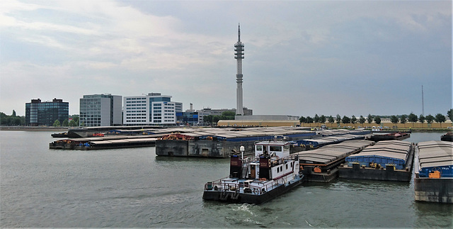 Hafen Rotterdam, Funkmast