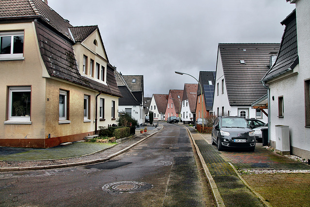 Krummer Weg (Victoria-Siedlung, Lünen) / 4.03.2023