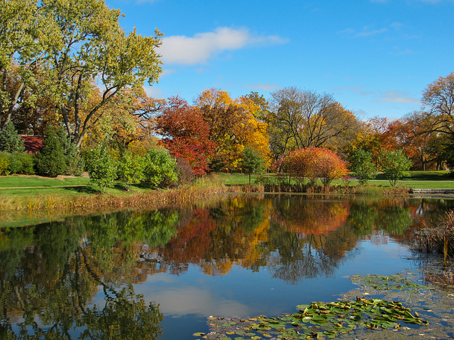 Fall Panorama