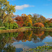 Fall Panorama