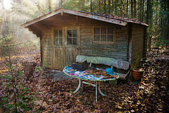 Die Bank im Wald vor der Hütte - HBM