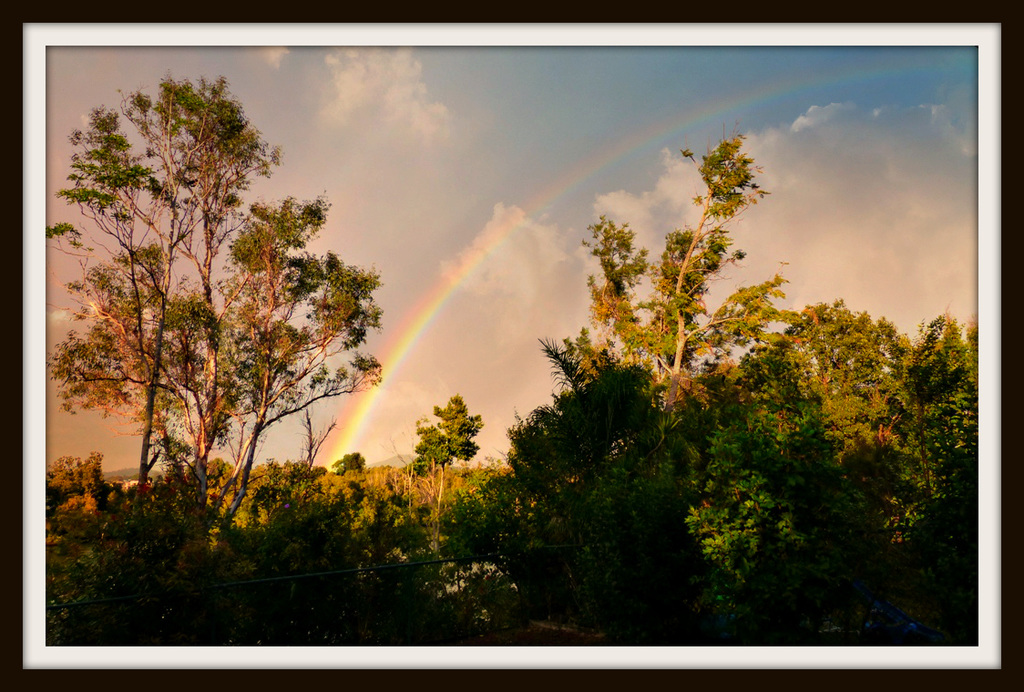 June Rainbow