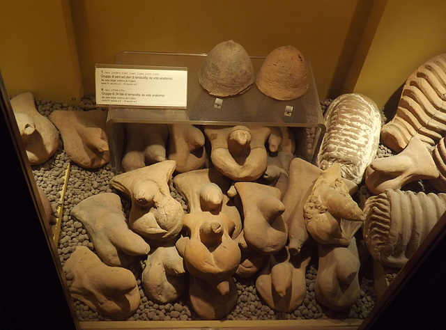 Anatomical Votives from Cales in the Naples Archaeological Museum, July 2012
