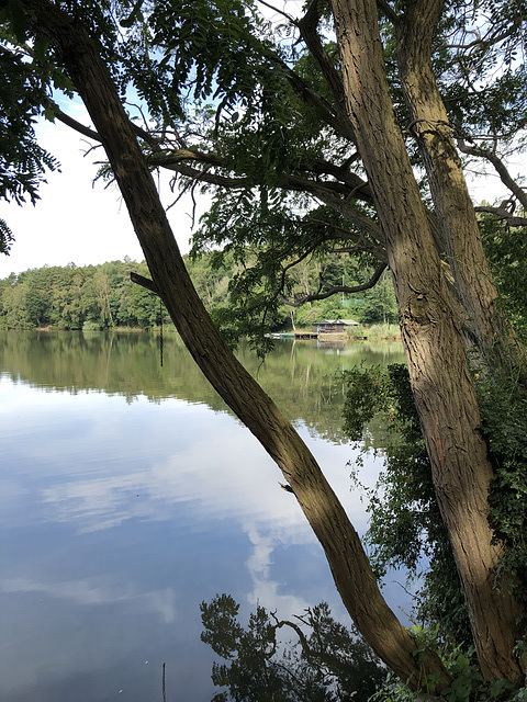 DE - Brühl - Berggeist-Weiher