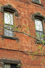 Commercial Hotel Rooms ghostsign