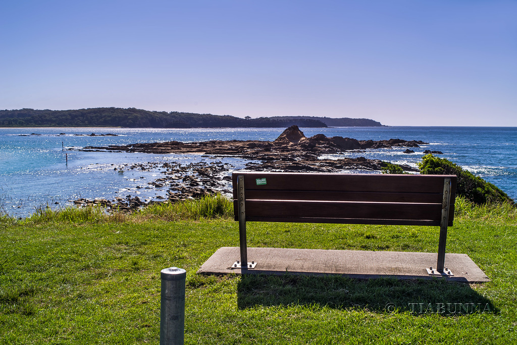 Coastal contemplation