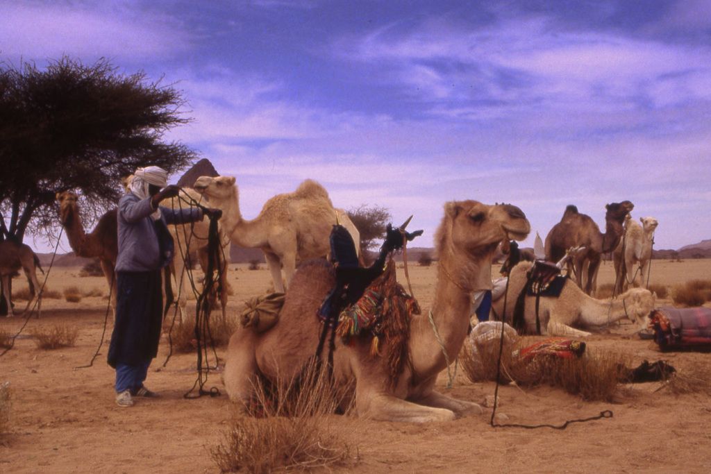 Tamanrasset Algérie