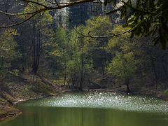 Il lago di Pianfei a Primavera
